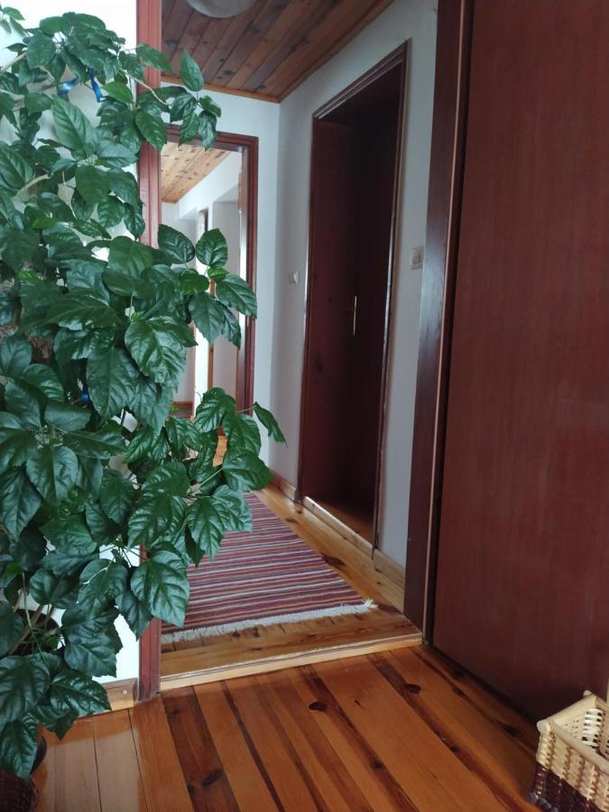 Apartmani Milic Sirogojno Exterior foto
